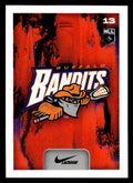 2025 TFL Sports NLL Stickers #13
