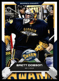 Brett Dobson 2025 TFL Sports NLL Georgia Swarm Color Match #31