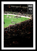 San Diego Seals Arena 2025 TFL NLL Stickers San Diego Seals #210