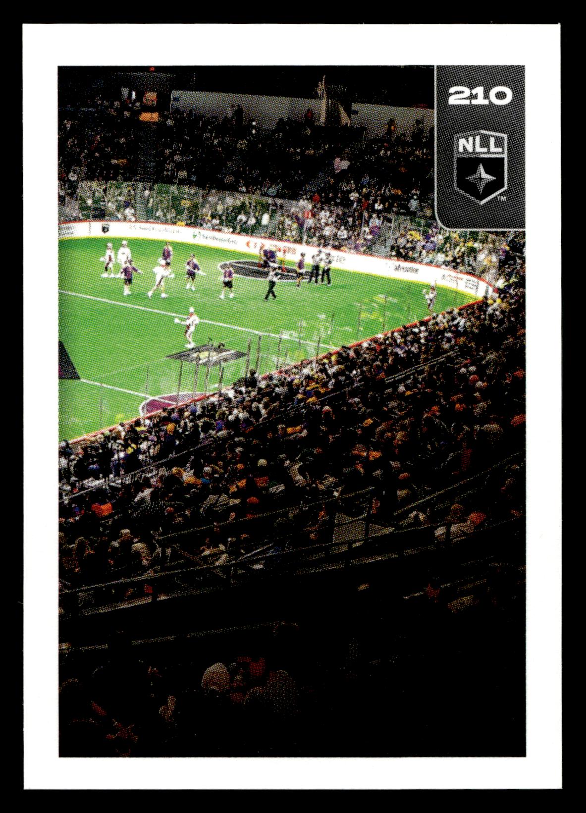 San Diego Seals Arena 2025 TFL NLL Stickers San Diego Seals #210