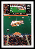 2025 TFL Sports NLL Stickers #29