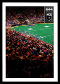 2025 TFL Sports NLL Stickers #244