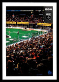 2025 TFL Sports NLL Stickers #264